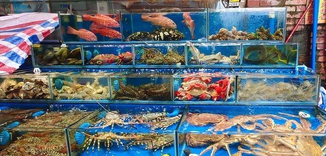 日本排放核水后，奇怪的事发生了：刚开始各国对海鲜避之不及，如今3年过去，核水已污