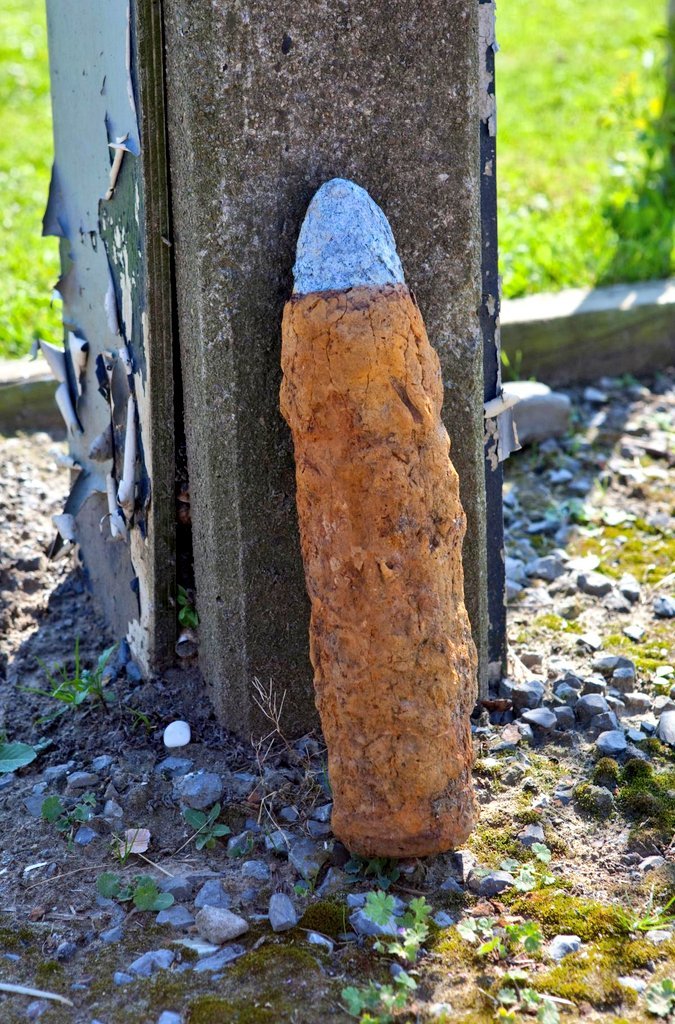 法国一名24岁男子因向肛门塞入异物入院治疗。医生发现该异物是一枚8英寸长的一战未