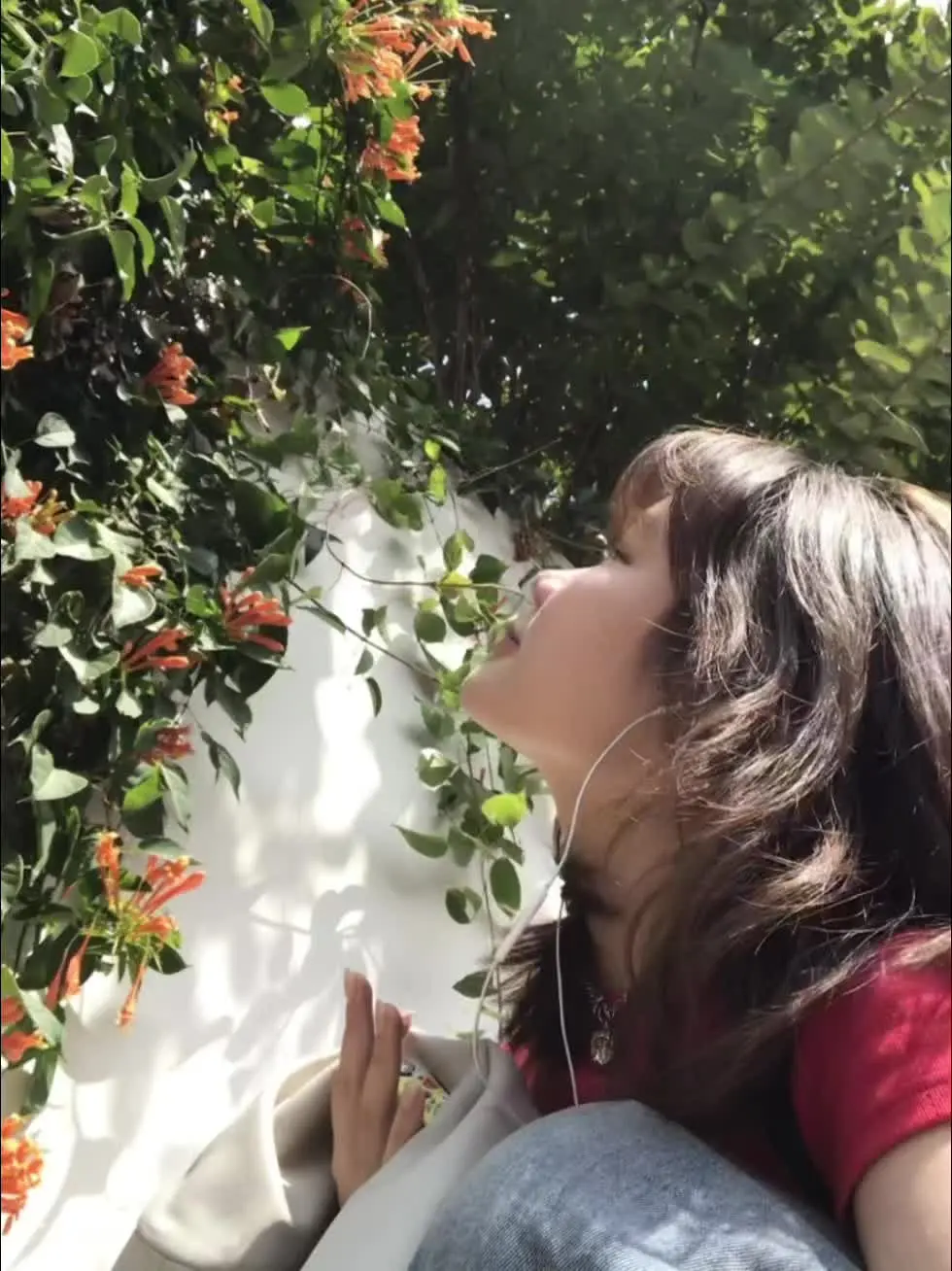 ㌥(ง ˙˘˙ )ว㌥幸福路上开满“好日子” 炮仗花的花语是好日子！厦...