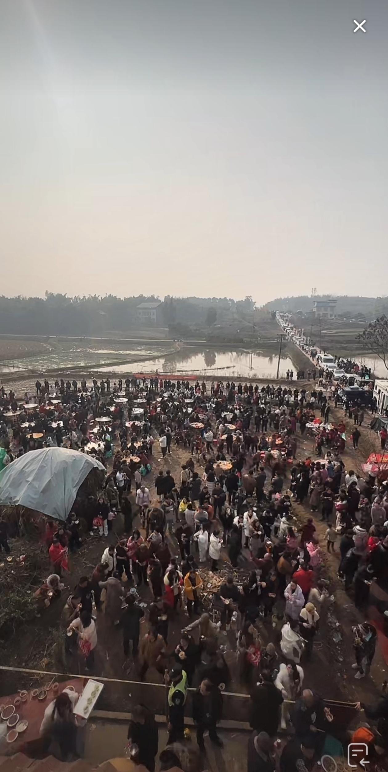 谁也没想到杀猪会有这么大场面，重庆合川女孩“呆呆”没想到，合川文旅也没想到，上千