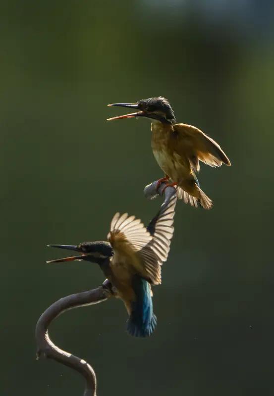 上联：前后为难，求下联左右夹击
