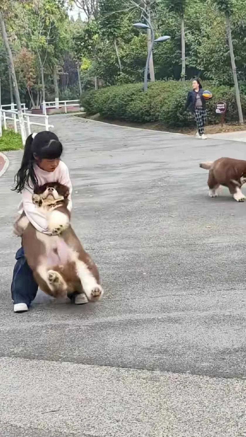 广东的一个年轻的宝妈，婚后只生了一个女儿，奇怪的是，宝妈平时去街上都会买很多玩具