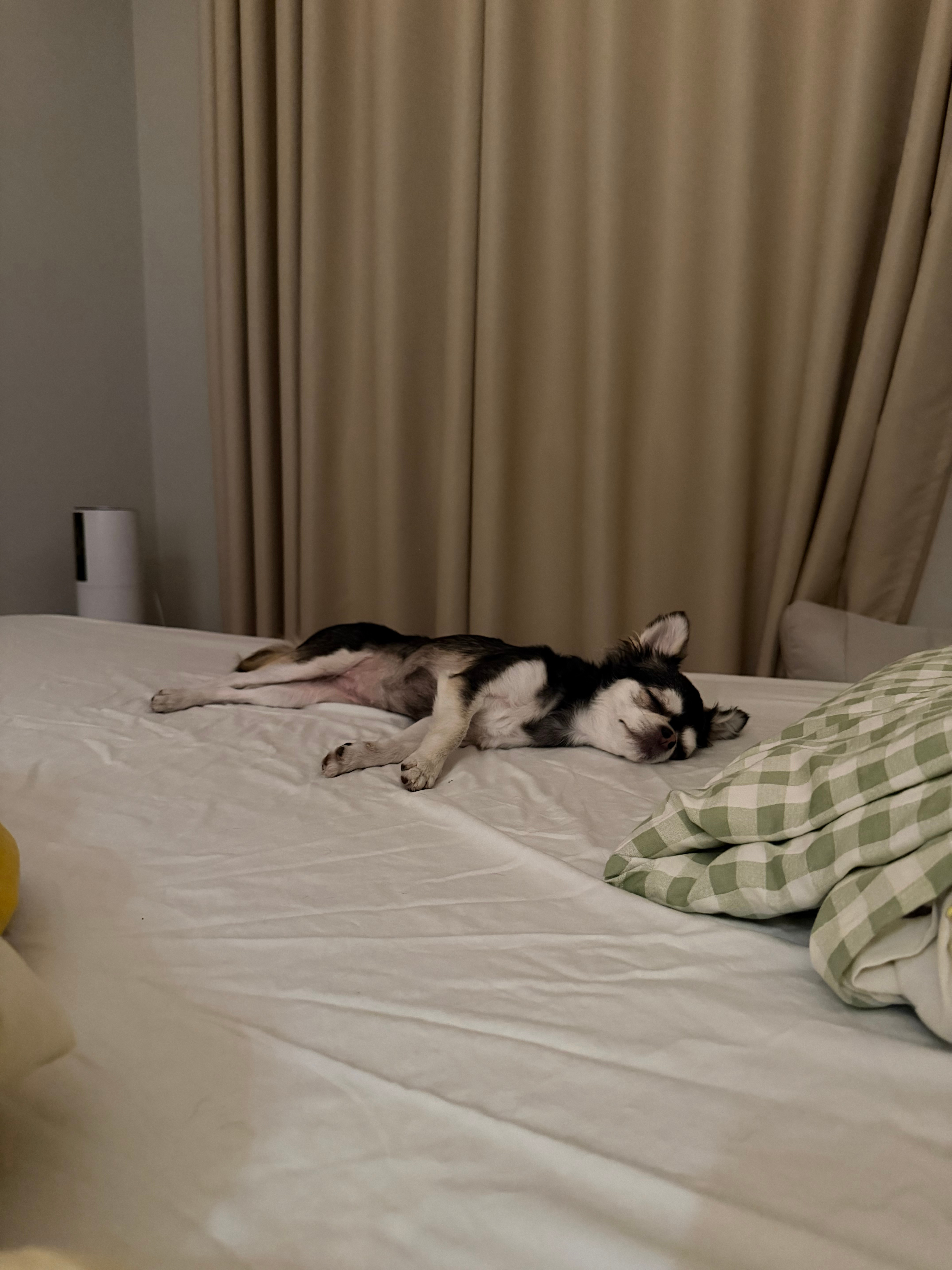 每个半夜醒来看见的都是香香软软的乖乖小女孩