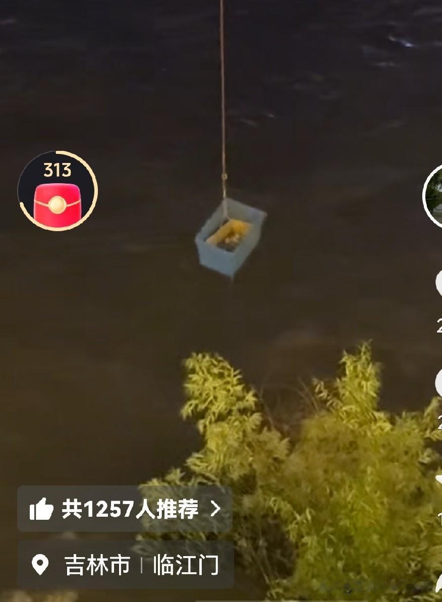 无人机救猫，有爱有才的吉林市市民

正在为老家发大水担着心，嫂子电话说挨着河边的