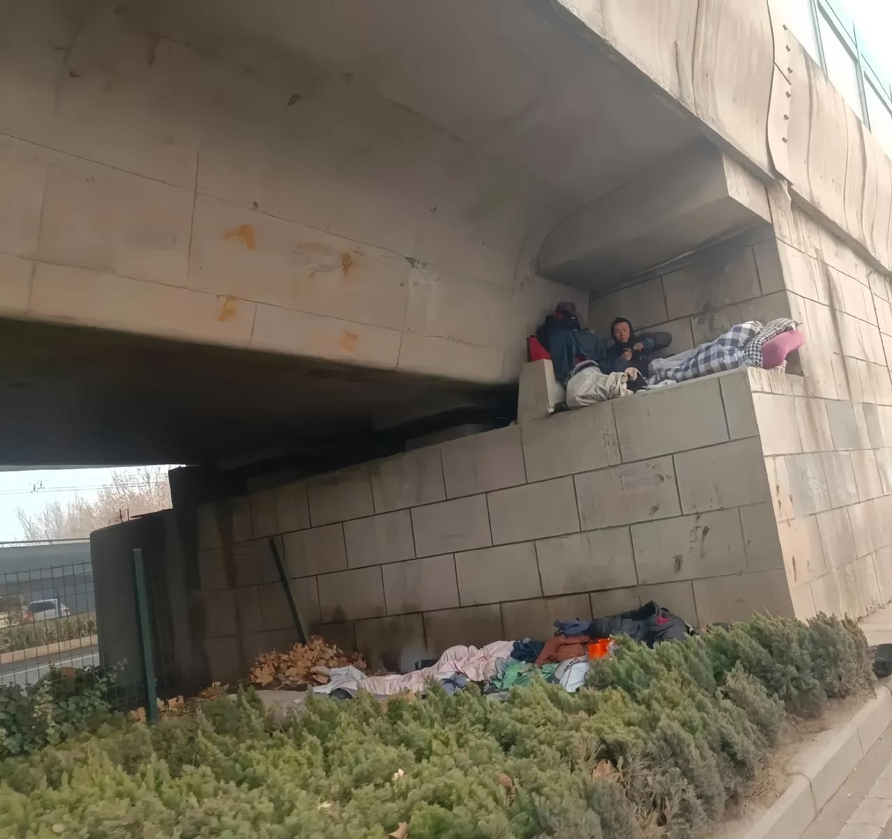 宁愿睡在大桥下，也不愿意回家的，都是什么人？
