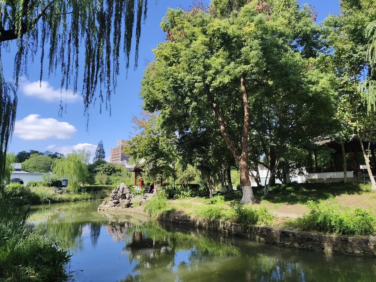 #秋日出游随手拍#
有心赏景处处是景，无心颀赏有景若无！