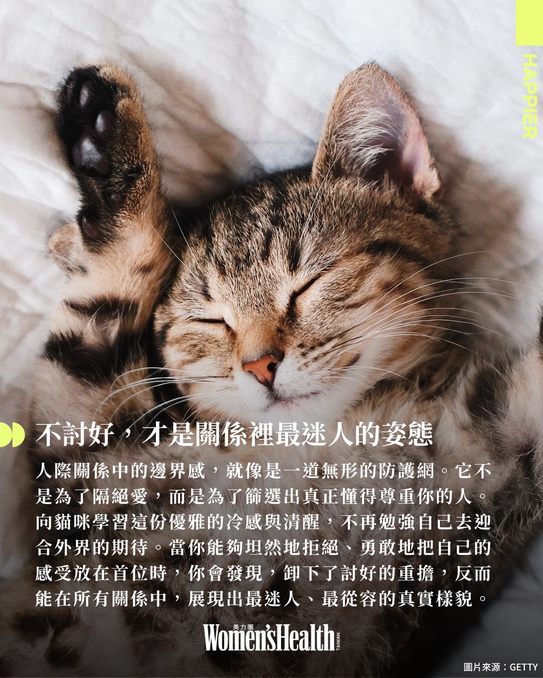 学习小猫的“高段位边界感”[写作业] ​​​