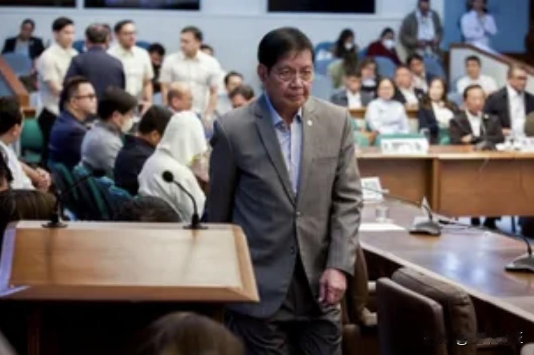 菲律宾参议院临时议长兼参议院蓝带委员会主席潘菲洛·拉克森表示，那些一直缺席防洪工