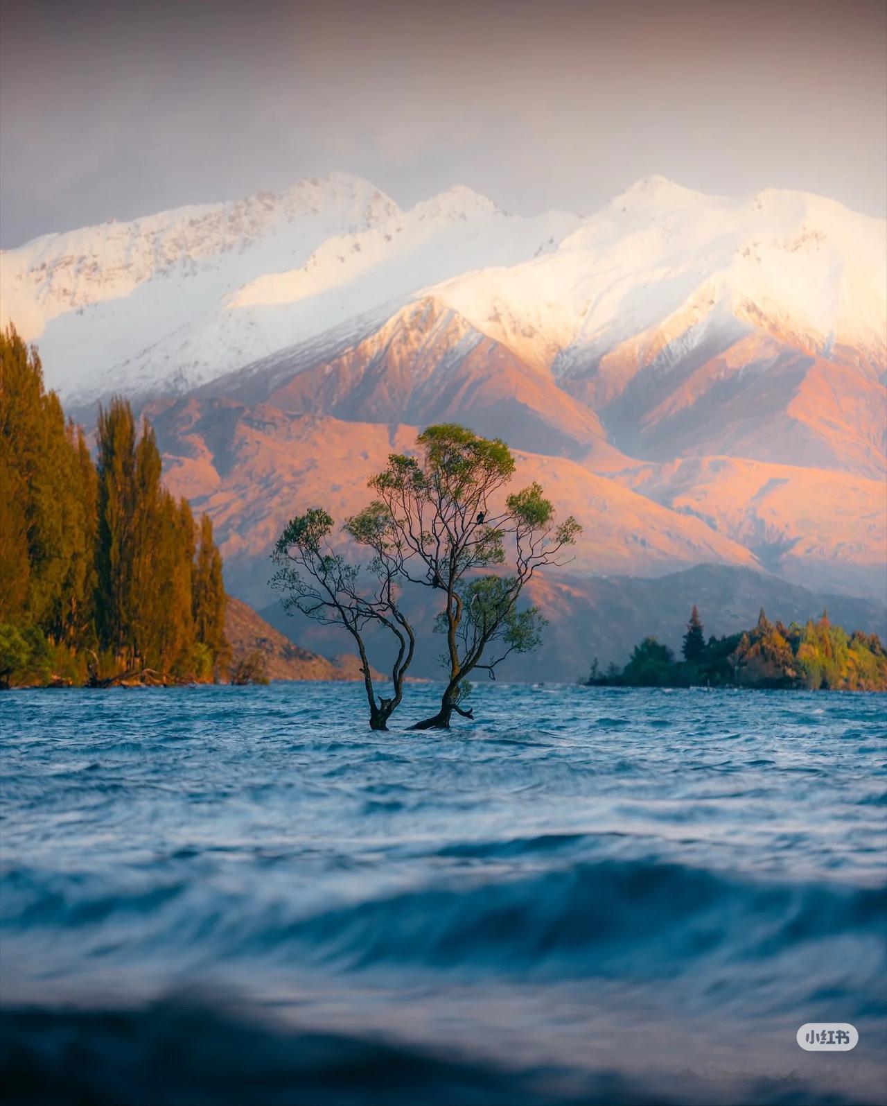 好看风景照分享