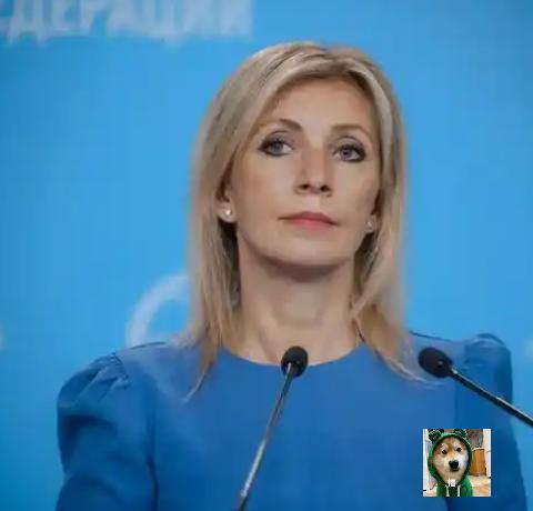 就在刚刚

俄罗斯媒体近期多次强调，若东方大国（指中国）在国际事务中持续采取退让