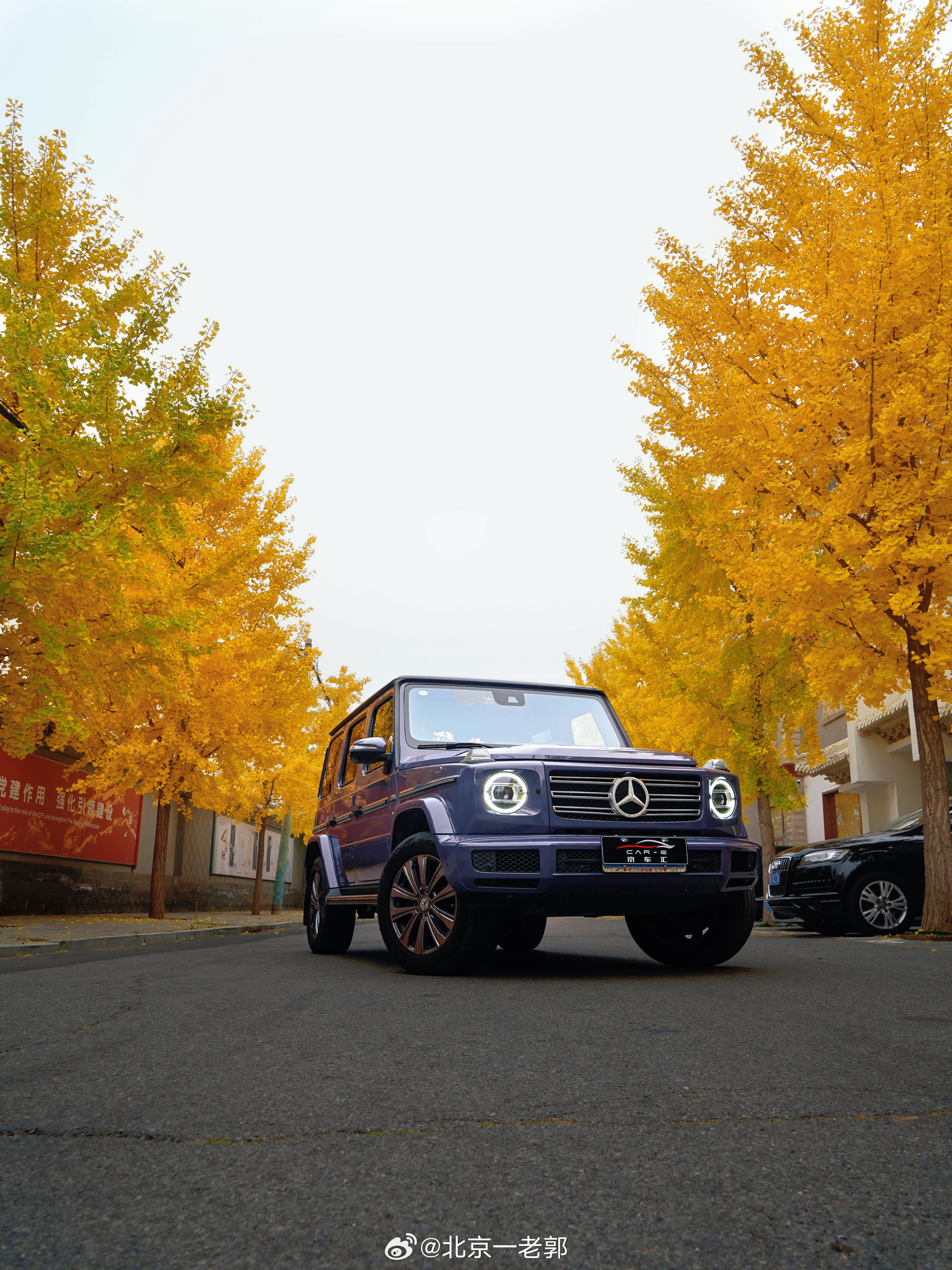 秋叶配上大G，是你梦中的场景吗？ ​​​