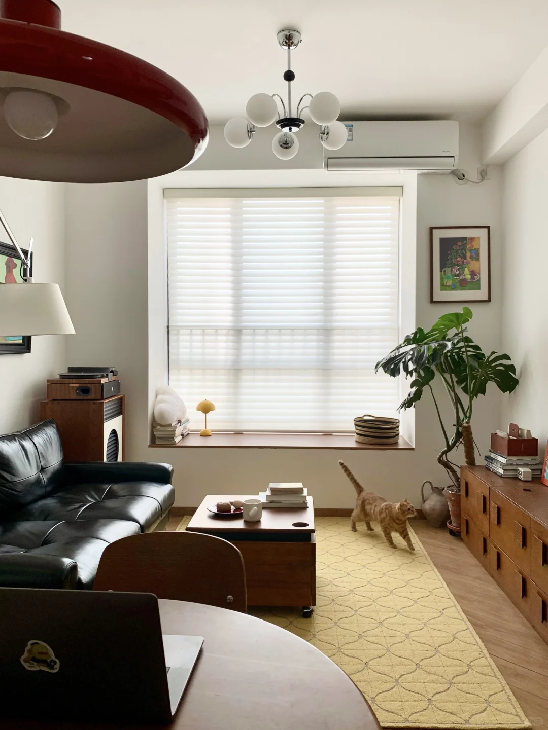 一个人住着很舒服的39平小家🏠🐈