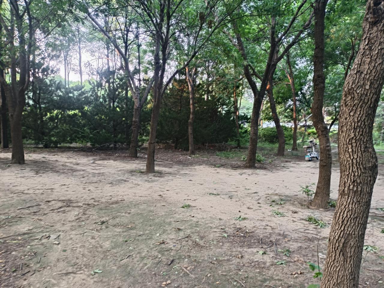 不要去神话形意拳，
练了别的拳以后，
会发现别的拳里也有形意拳的招式，
只是名字