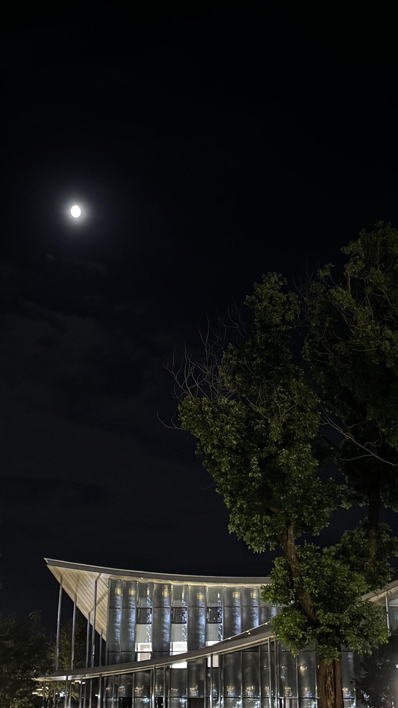 分享一下你随手拍下的照片圆月悬于夜幕，树影婆娑，楼宇灯火点点，夜色安静又辽阔。