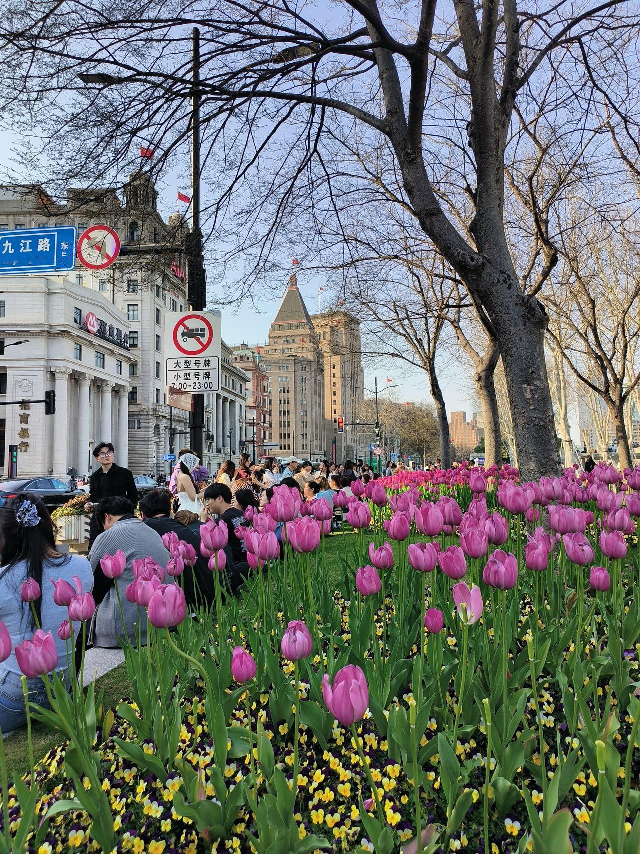 春日户外随手拍花草🌸🌸🌸🌸🌿🌿🌿🌿分享！

拍摄时间～2025.