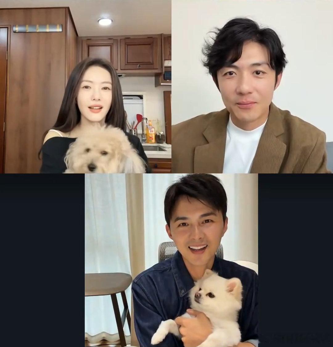 其实图中有4只狗🥺 