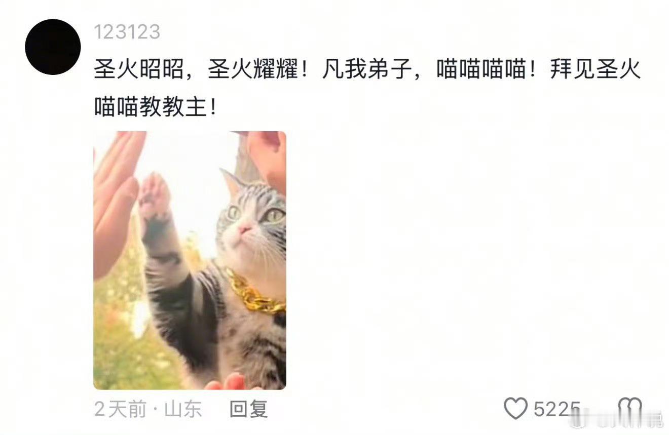 猫猫教主 