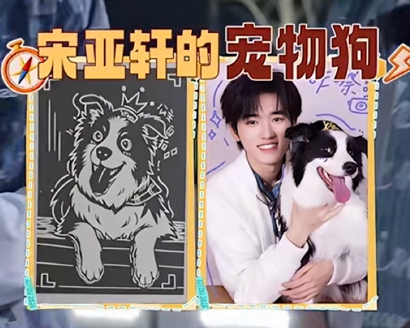 给碗盆的礼物选的是这套照片哦