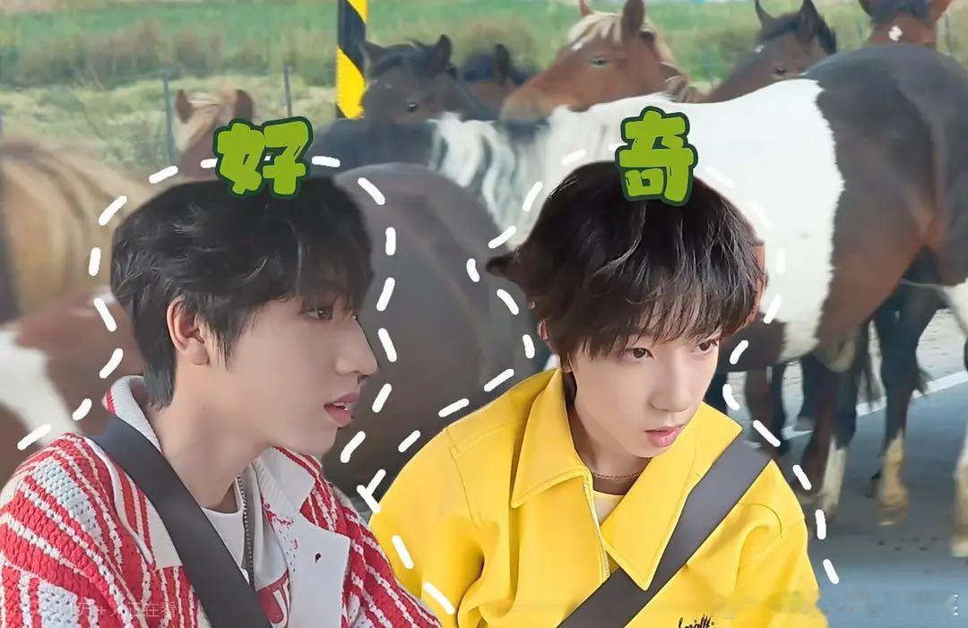 tg 桂文ksl ​​​