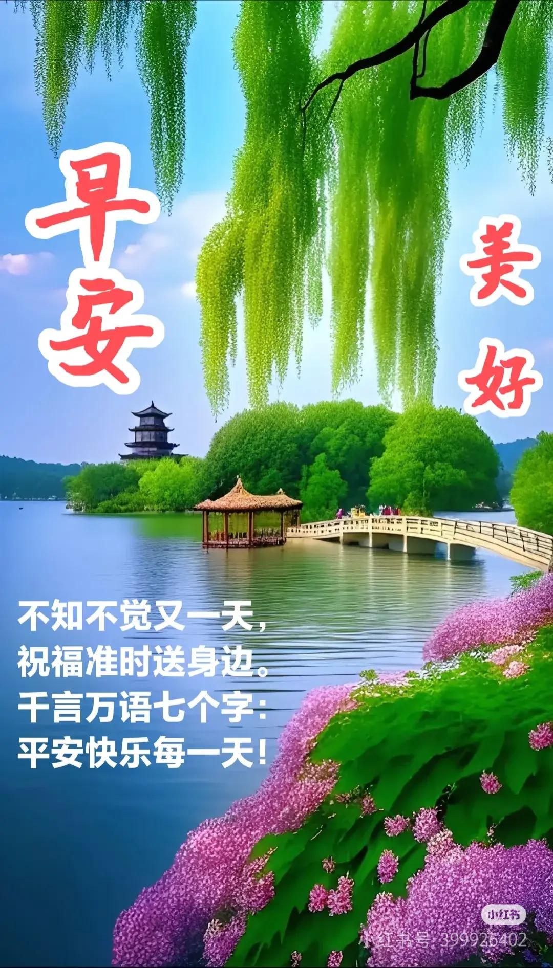 早上好！健康快乐每一天[玫瑰][太阳]