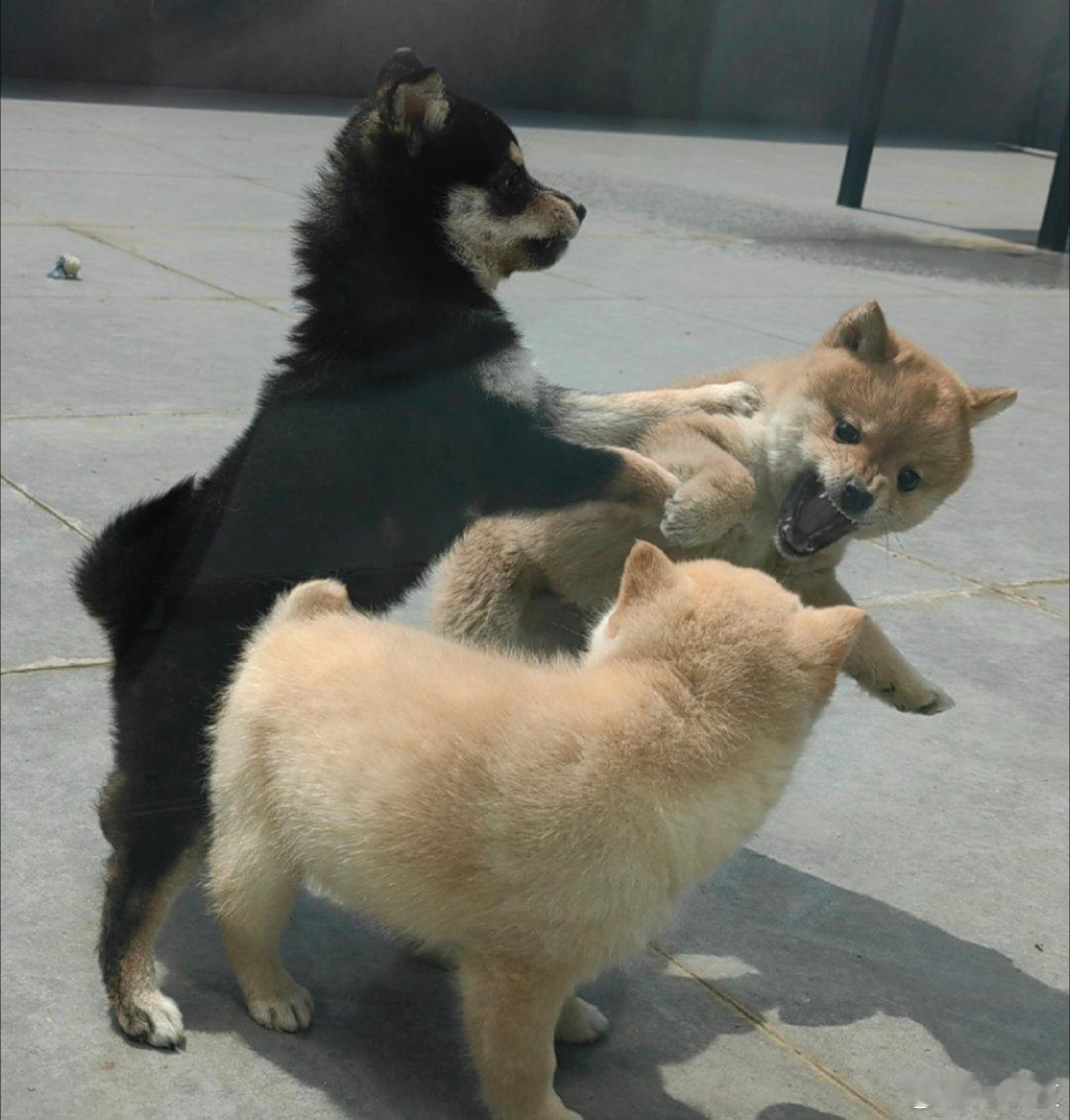 小时候打架拉偏架。上学的时候，好朋友和其他人打架，拉偏架的方式就是把对面从后面抱