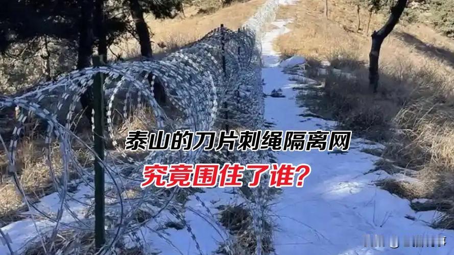贾旭明最近与家人的一段对话，确实引人深思。当观众期待他聊聊泰山防护网时，他却把话