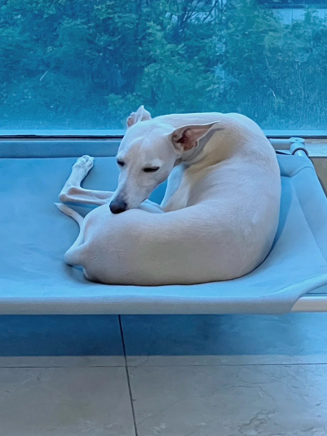 折叠方块🐶