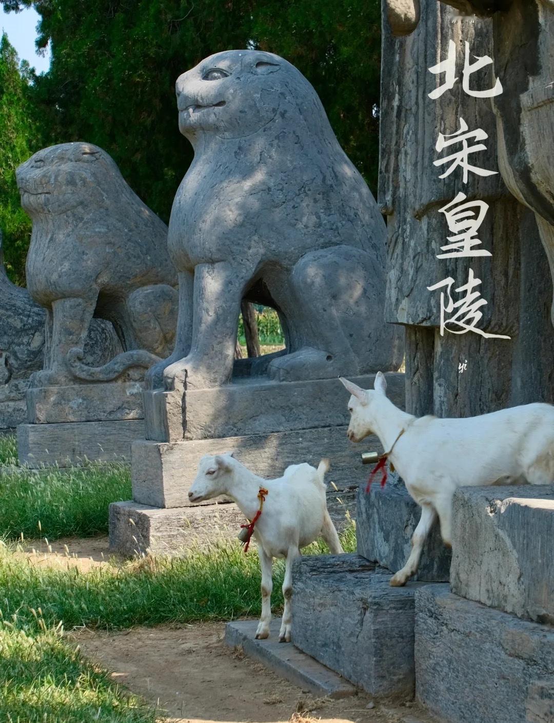 帝陵选址逻辑
都城周边的“地下秩序”
古代帝陵选址遵循“生事之，死葬之”的逻辑，