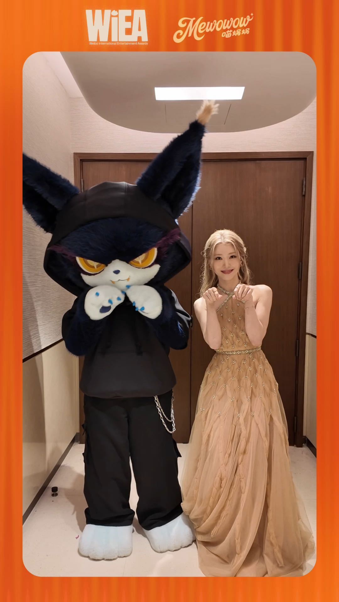 谁还分得清沈小婷和猫 你们中有两个都很萌~ 