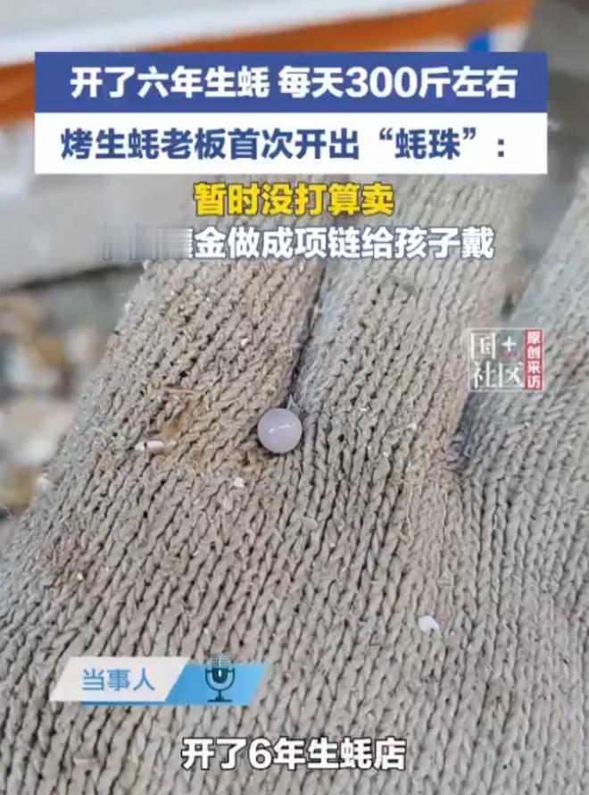 比中彩票概率还低！广东一位做了6年蚝生意的老板，每日处理300斤生蚝，近日竟意外