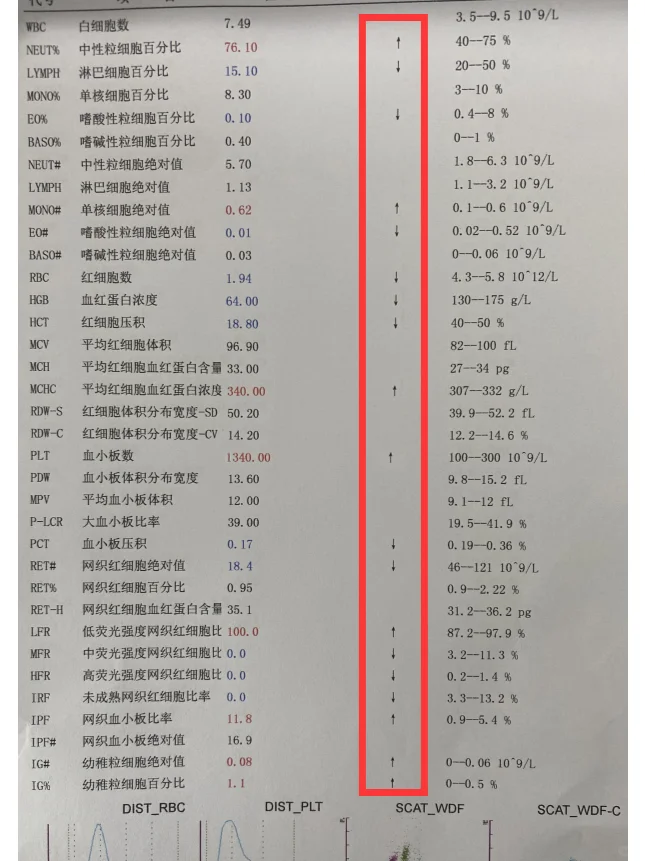 血常规真的能反映身体的很多问题！