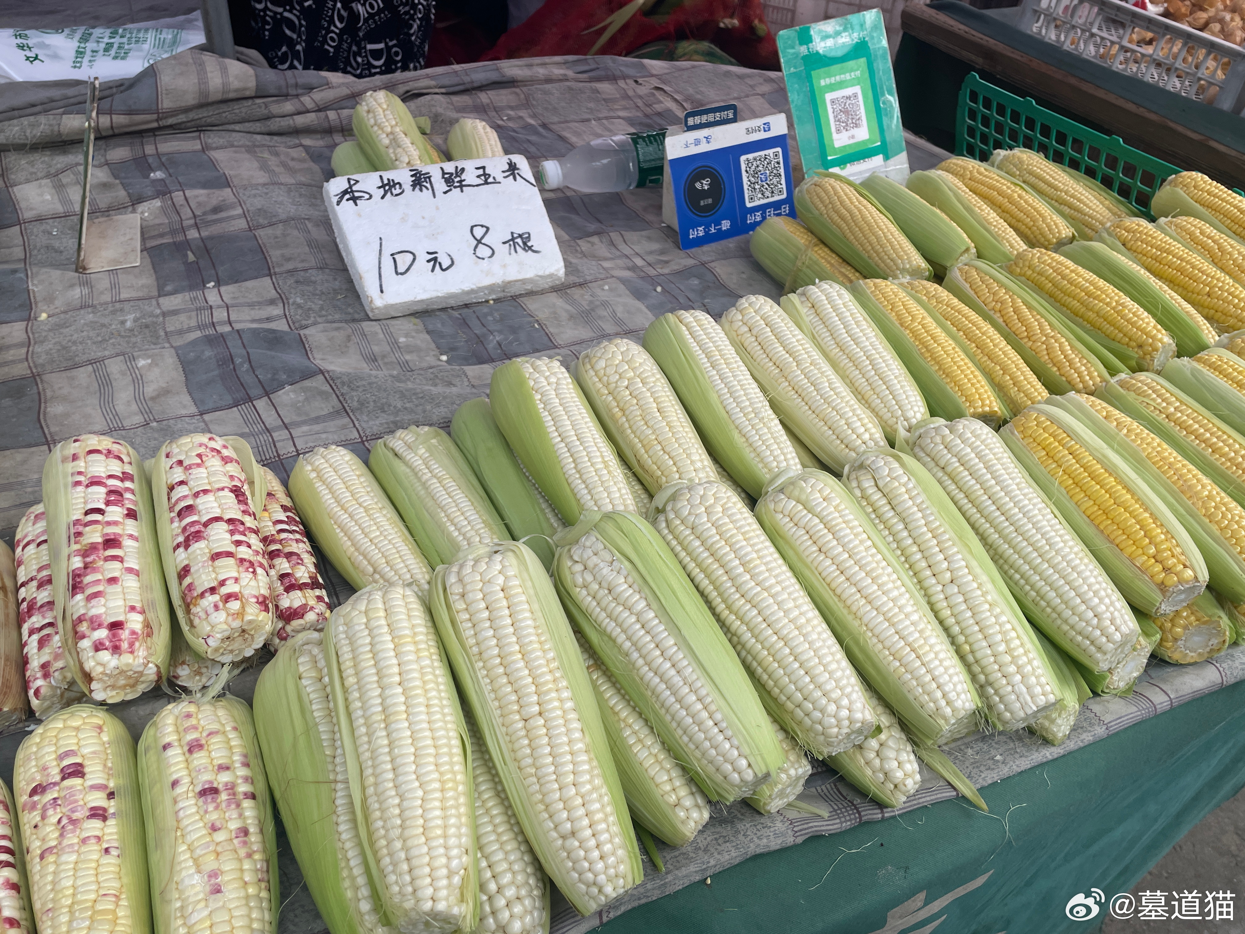 从深圳回到了北京生活，发现蔬菜和水果都好便宜！ ​​​