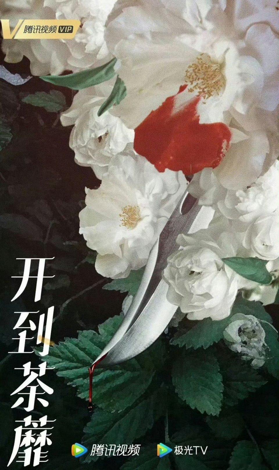 腾讯都市剧《开到荼靡》主演：白鹿、彭冠英导演：李木戈《司藤》 