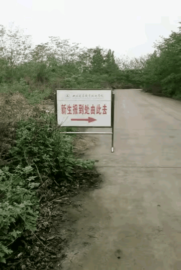 别人大学迎新大道彩旗飘扬，这学校报到走深山野道，主打一个低调隐蔽。