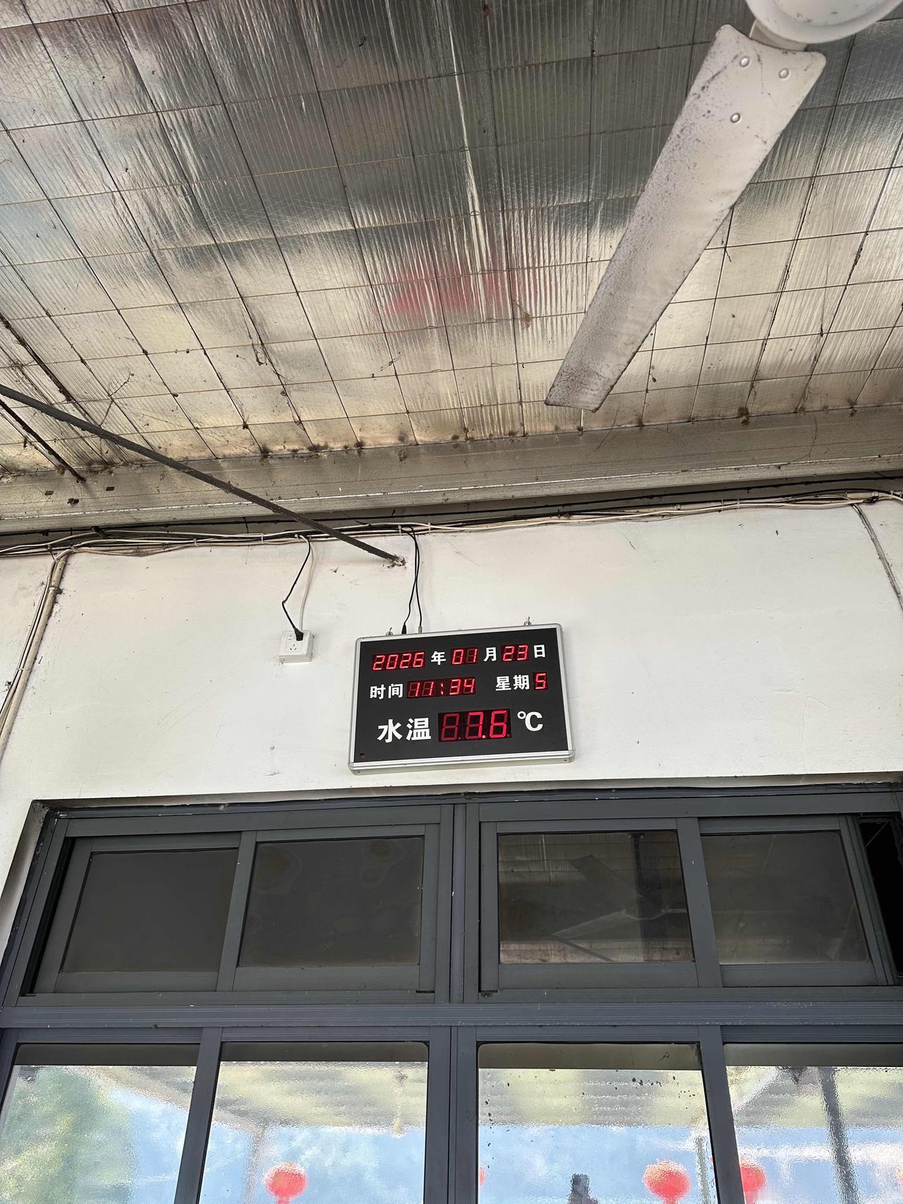 1月23日晴，冬泳基地的热闹与年味

转眼又到周五，今天的好天气太给面了！晴空万