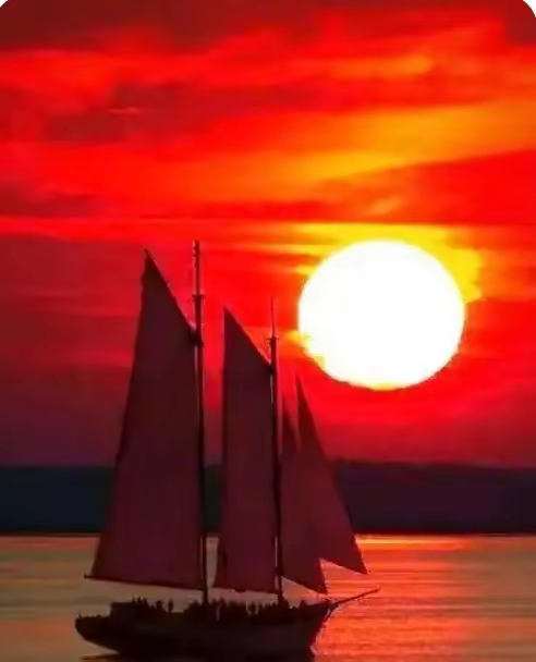 周四舆情热度:①算力-浙江算力科技与海光信息、阿里云等签约算力生态共同体；AI新