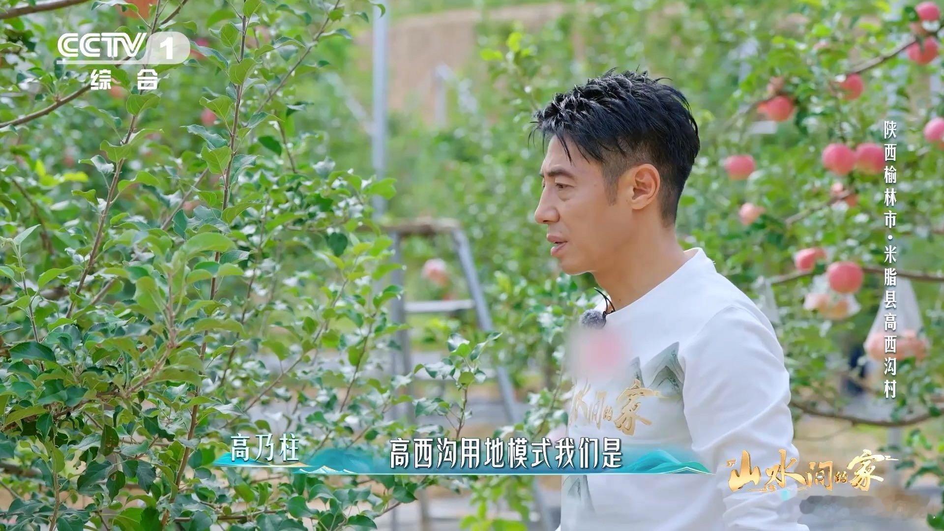 黄土高原变绿了黄土高原变成了抹茶千层 从黄到绿的蜕变太绝了！黄土高原的层峦叠翠像