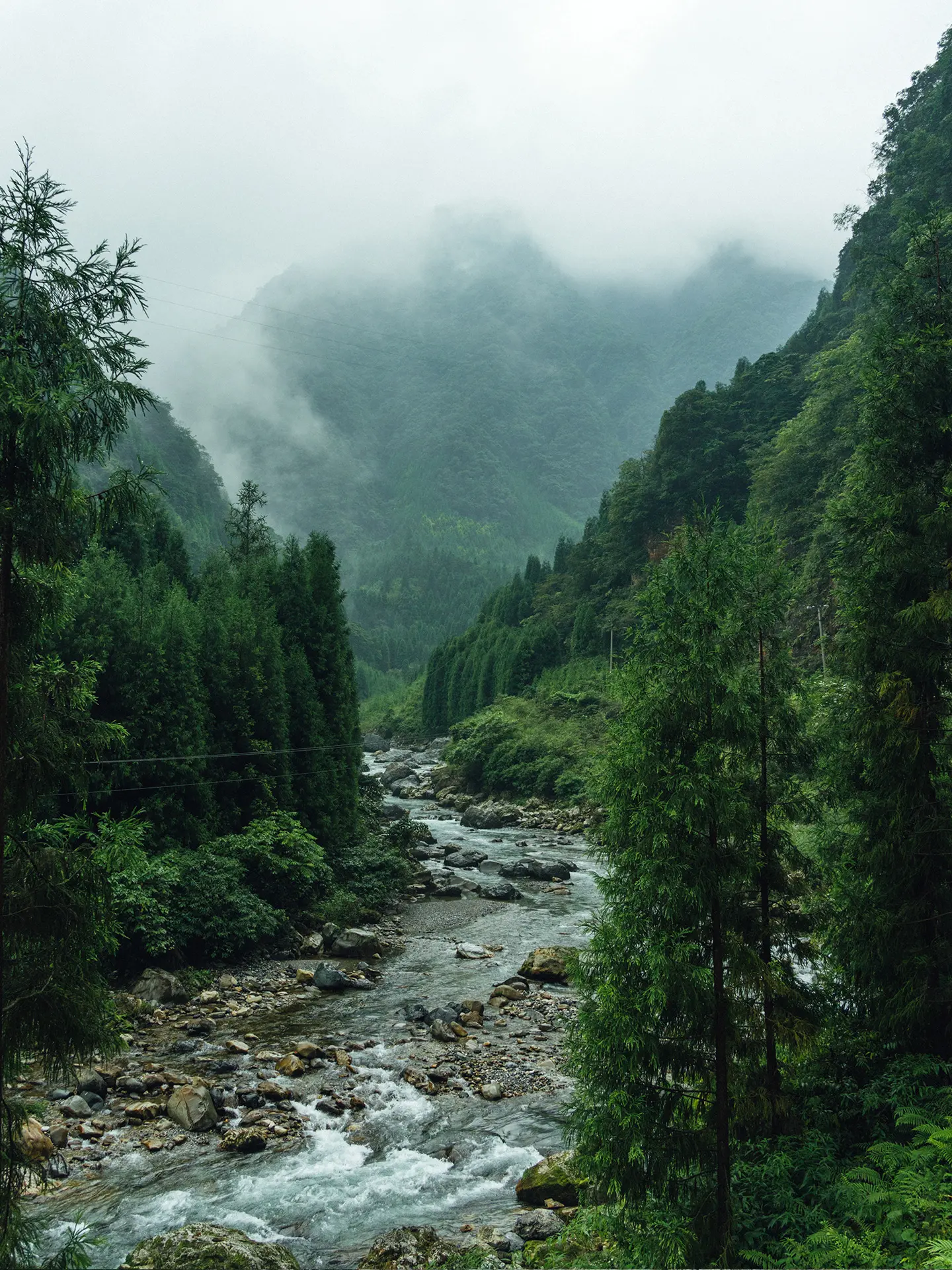 被国家地理安利“隐藏成都周边的仙景🏡村落”。成都周边隐藏着神仙村落 ...