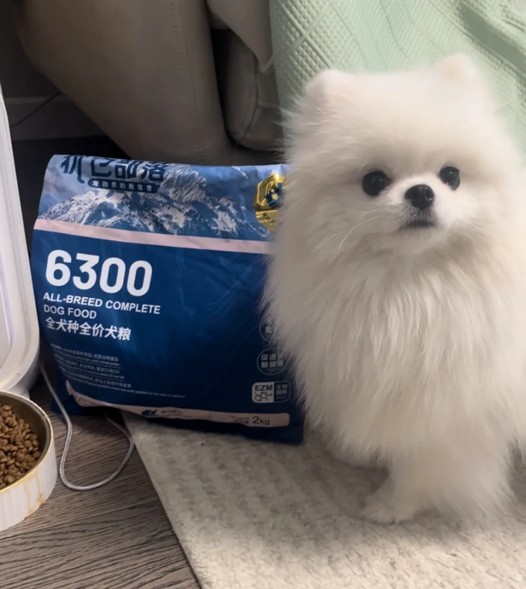 小狗健康的秘密武器