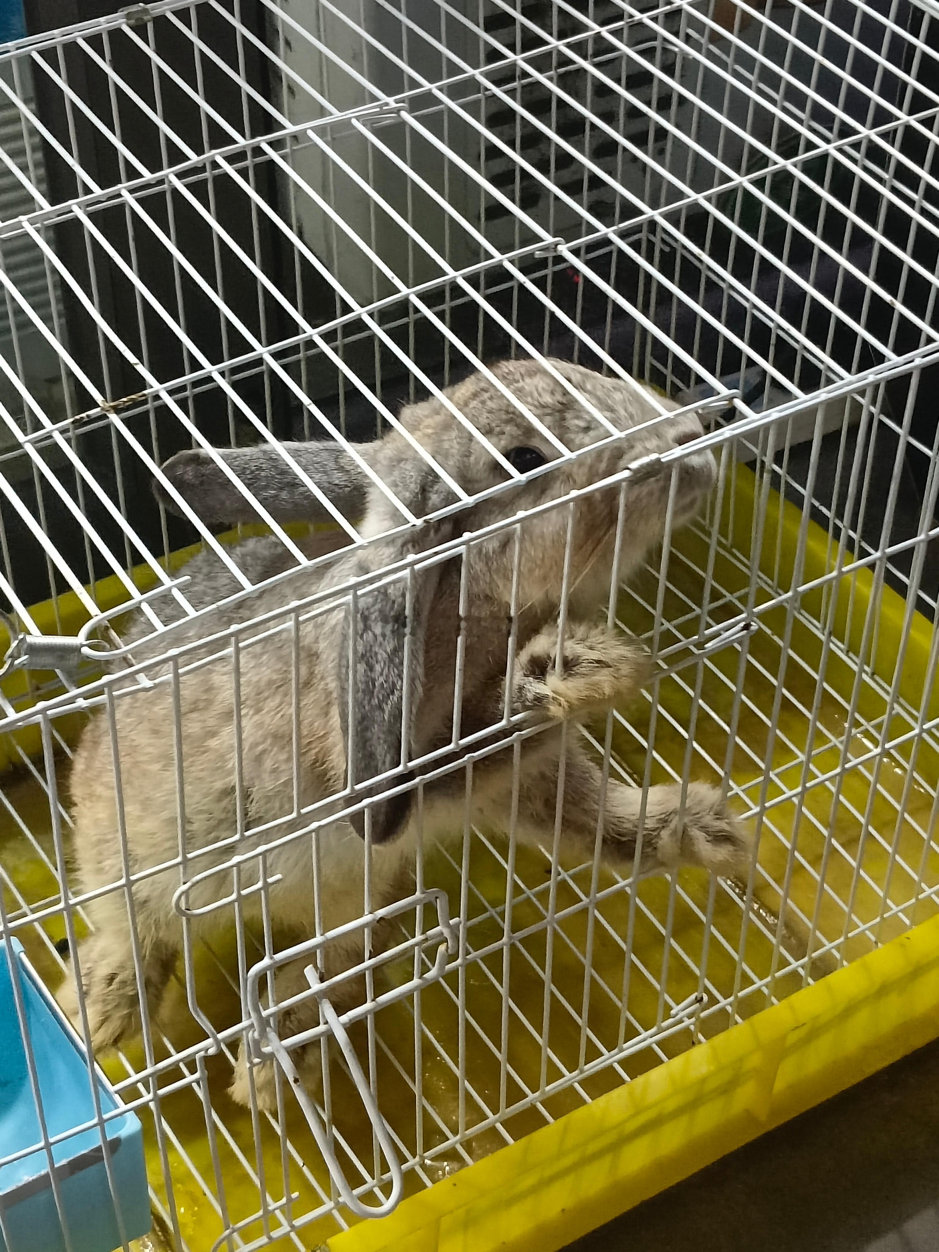 🤤🤤🤤 ​​​