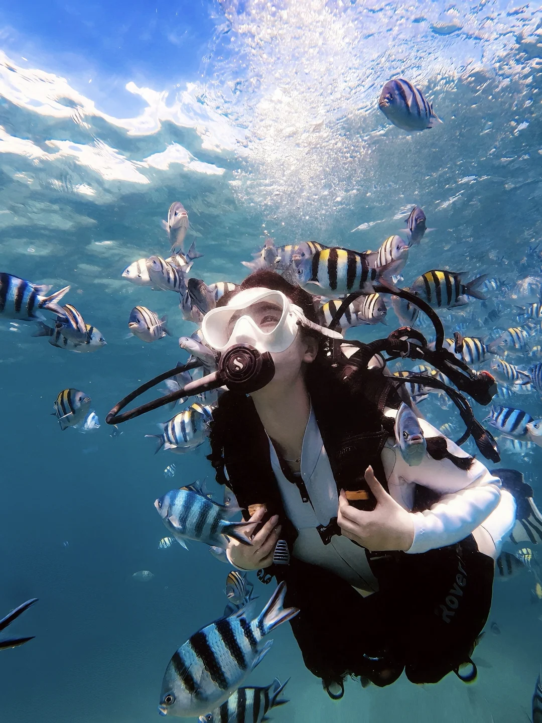 🤿🪸🐠潜水拍到的人生照片（图文版