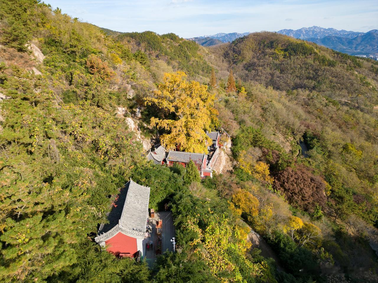 青岛竹子庵