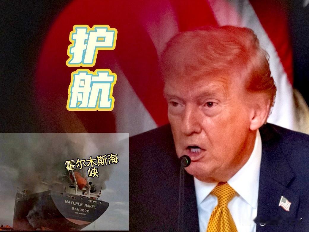 嗓门大，也没用，
特朗普护航霍尔木斯海峡，
一个国家都没有参加，威胁不起作用，