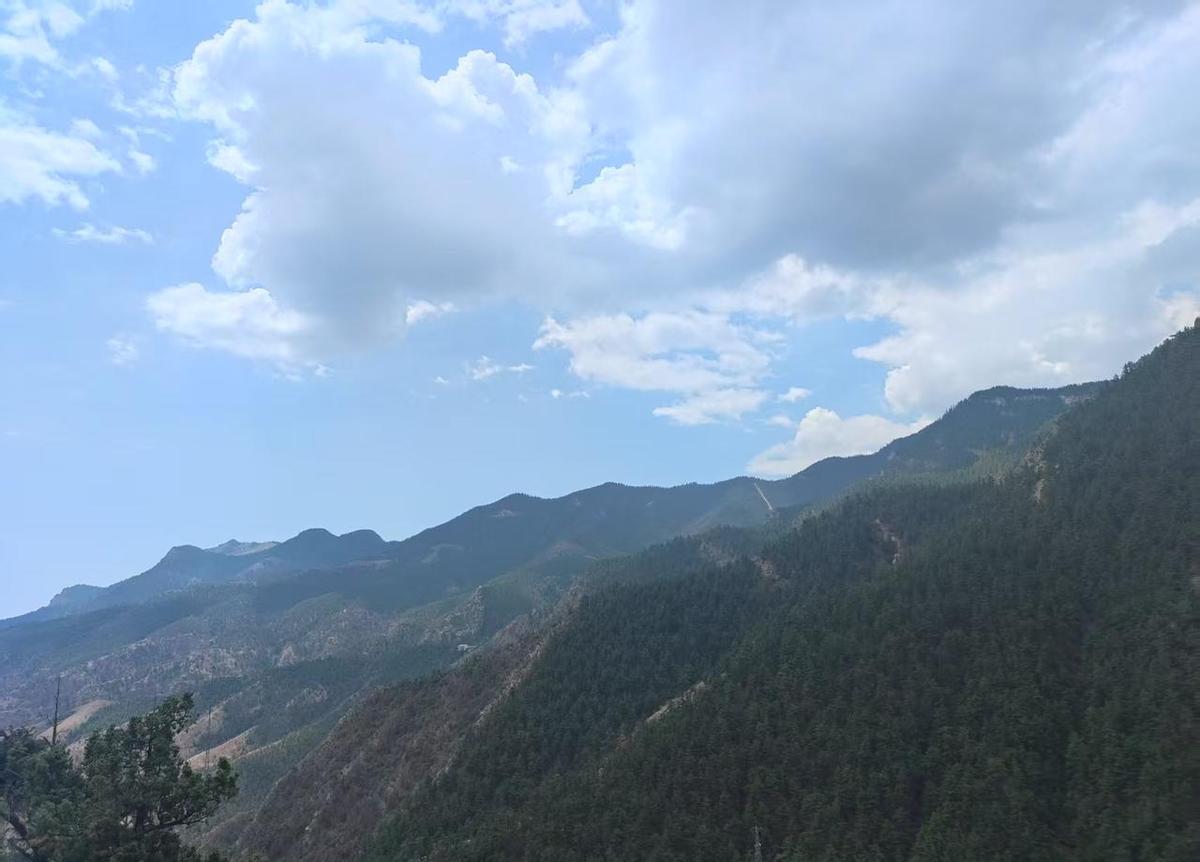 薅羊毛不是占便宜，是脑子在打工。
刷着刷着，月光族变优惠大户，钱包没鼓，手机倒是