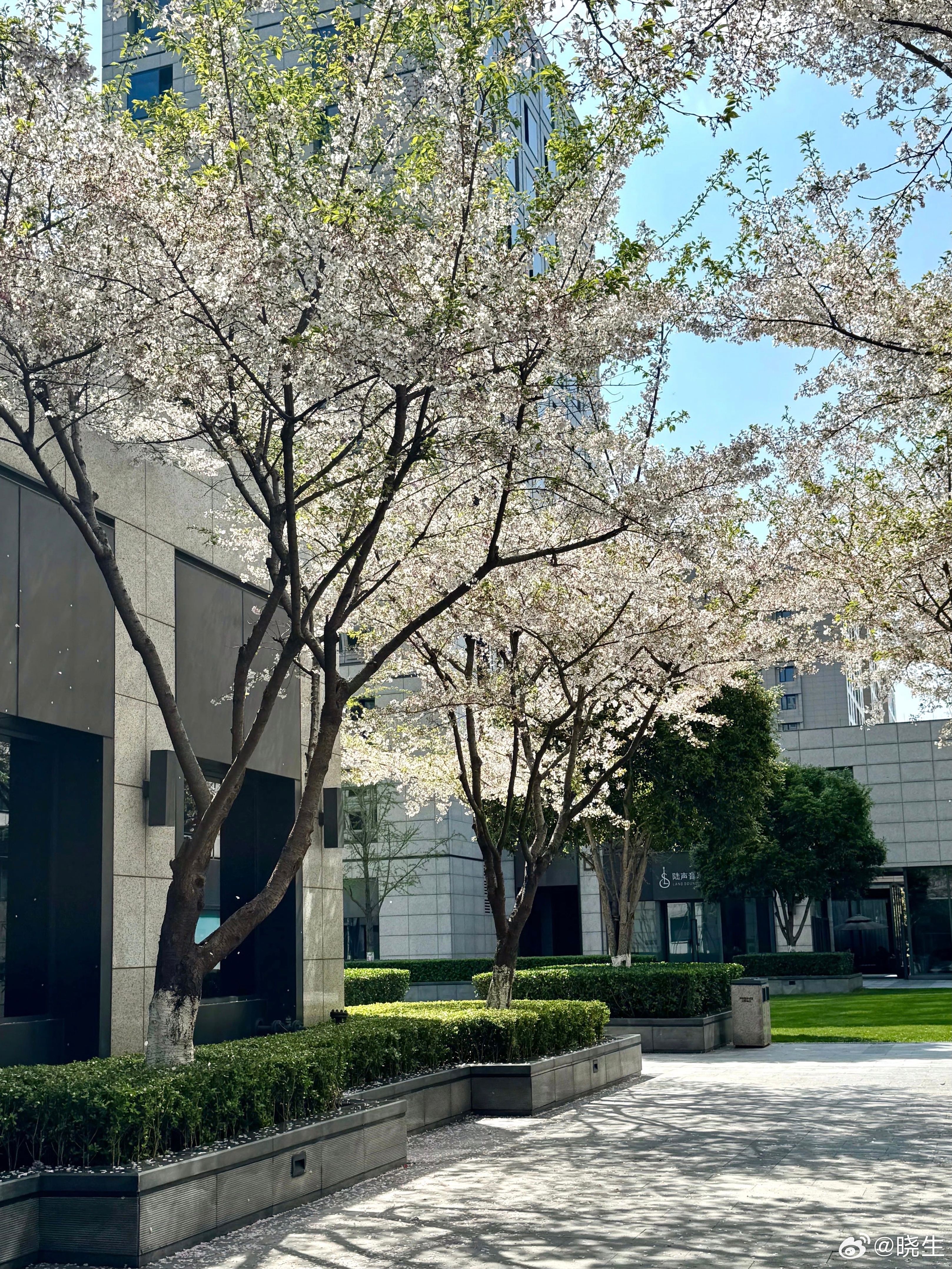 很多人就是看着很真诚，实则都是包裹真诚外壳之下的“道德绑架”啊我最近一个来访正在