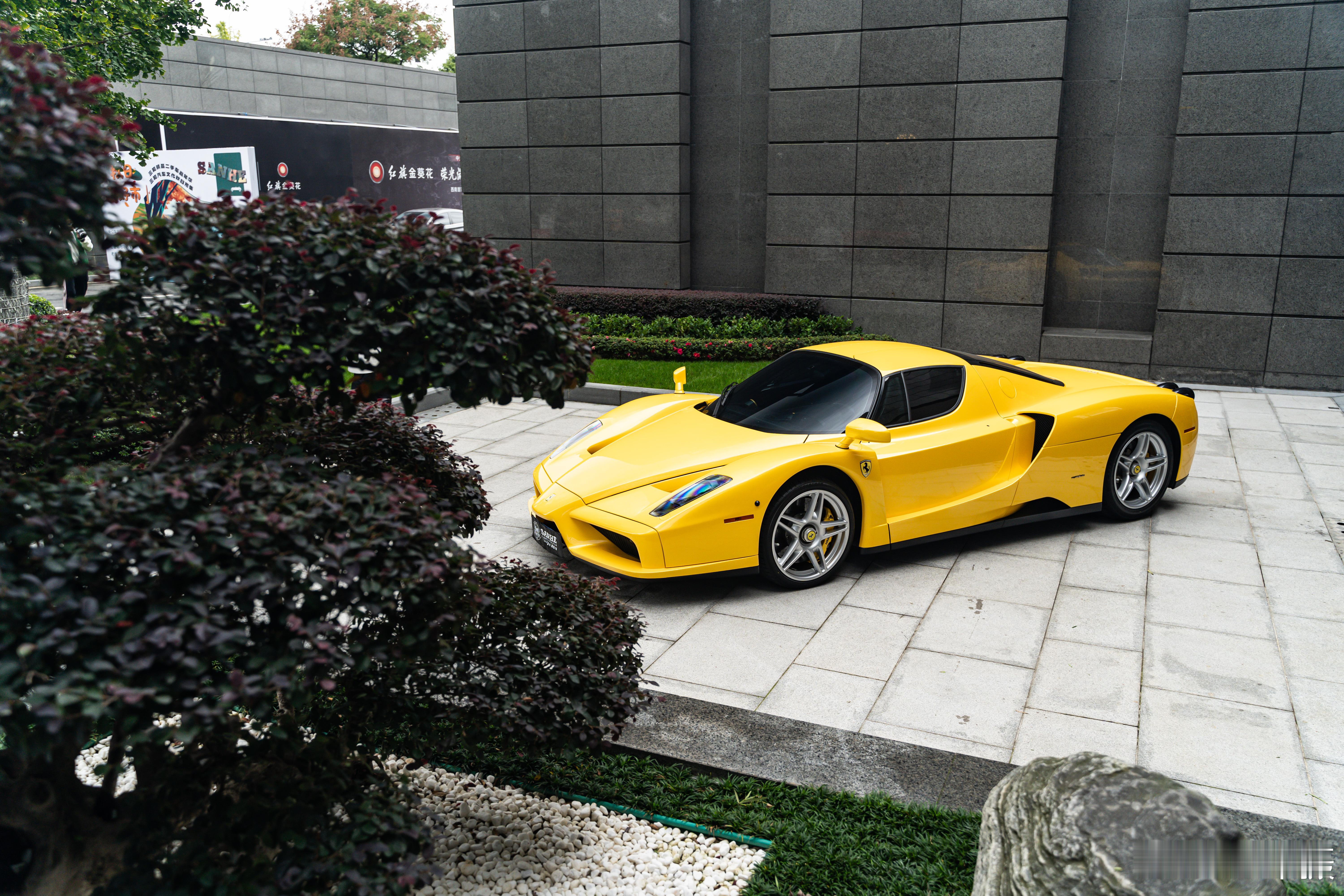 Ferrari Enzo & Laferrari📷：A7M3————————分