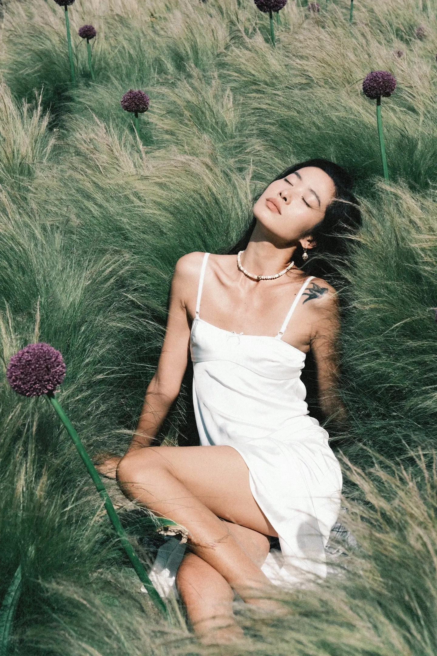 这个宇宙不能没有云南。