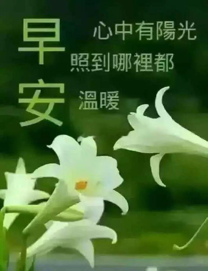 【周四、早！】时光奔涌不息，我们顺流而下，在每一个转弯处，长成新的岸。早安金油趋
