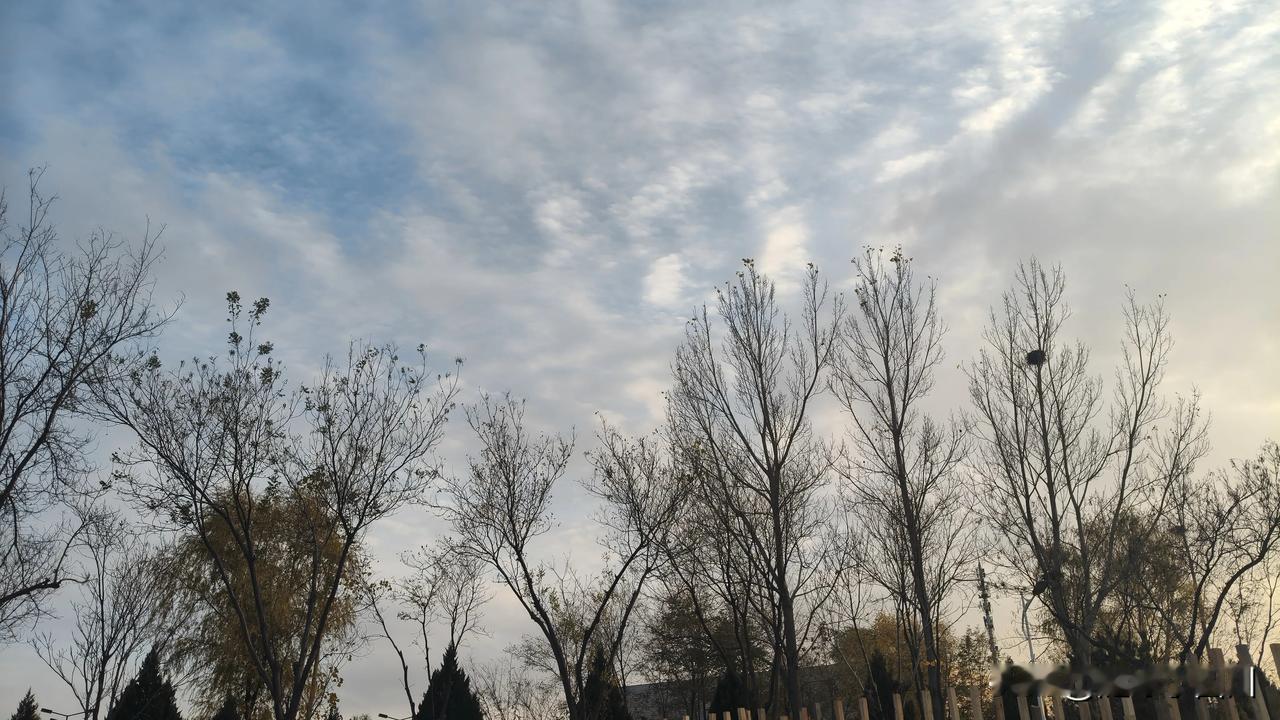 哦豁，今天又白干了。
刚刚老公打电话来，问儿子有没有好点，我说好点啦，就是药费又