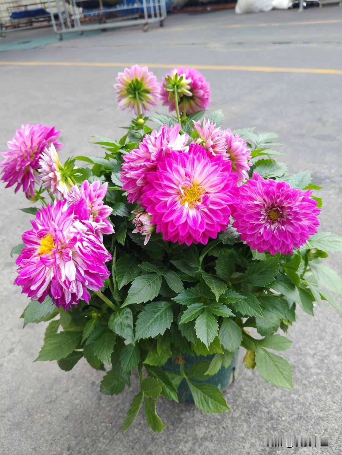 你发现没有？现在的人与过去的人比较起来，现在的人越来越在乎自己的年龄。
其实我们